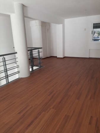 INMOBILIARIA GOMEZ GHISI Y D. FENES NEG INMOB. ALQUILAN: