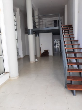 INMOBILIARIA GOMEZ GHISI Y D. FENES NEG INMOB. ALQUILAN: