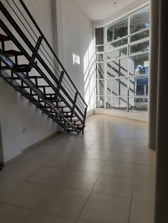 INMOBILIARIA GOMEZ GHISI Y D. FENES NEG INMOB. ALQUILAN: