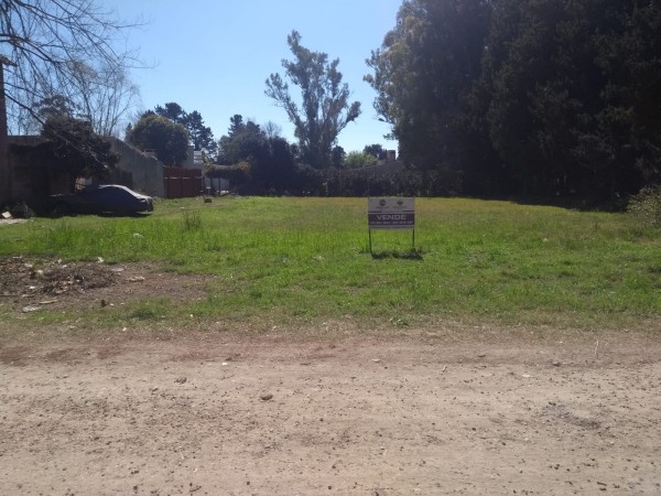 INMOBILIARIA GOMEZ GHISI Y D. FENES NEG INMOB. VENDEN: