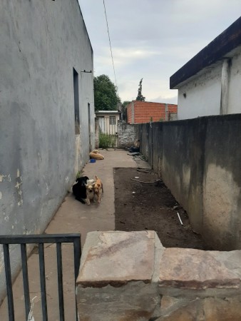 INMOBILIARIA GOMEZ GHISI Y D. FENES NEG INMOB. VENDEN: