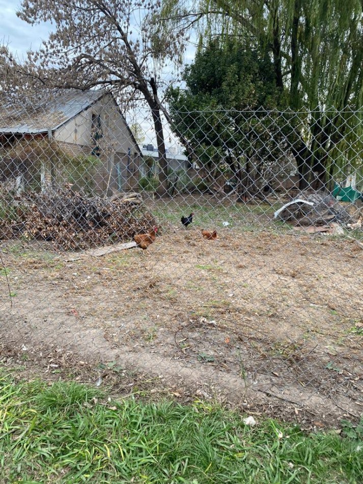 VENDEMOS TERRENO ZONA GAZANO