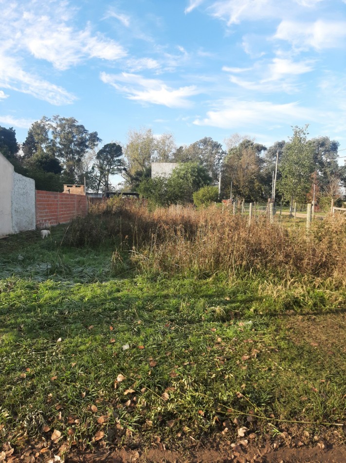 VENDEMOS LOTE ZONA SAUCE MONTRULL 