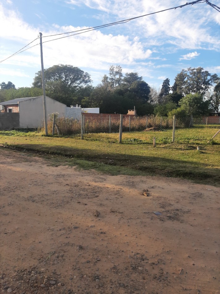 VENDEMOS LOTE ZONA SAUCE MONTRULL 