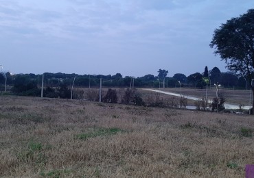 INMOBILIARIA GOMEZ GHISI Y D. FENES NEG INMOB. VENDEN: