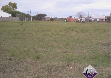 INMOBILIARIA GOMEZ GHISI Y D. FENES NEG INMOB. VENDEN: