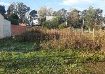 VENDEMOS LOTE ZONA SAUCE MONTRULL 